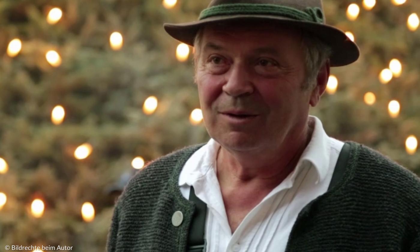 Die Geschichte des Weihnachtsbaums: Von der Tradition zur modernen Dekoration | Lebensformen