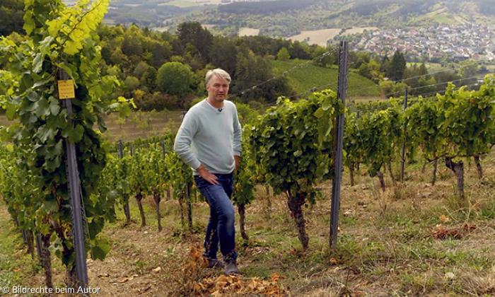 Bayerische Landwirtschaft im Wandel: Genuss trotz Klimawandel ...