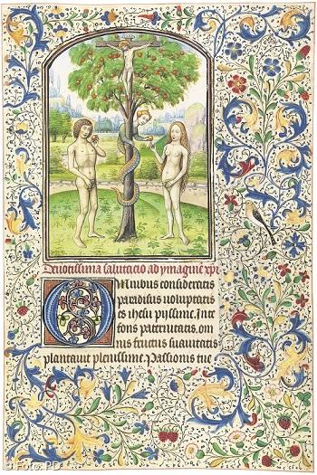 Das Kreuz erwächst aus dem Baum der Erkenntnis: Miniatur von Willem Vrelant, 1460.