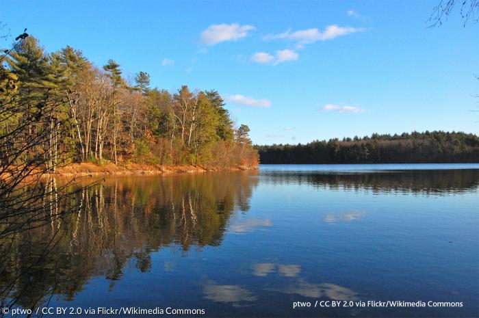 Der »Walden Pond« (Walden-Teich) in den Wäldern von Massachusetts, 35 Kilometer westlich von Boston gelegen.