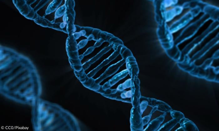 DNA-Sequenz