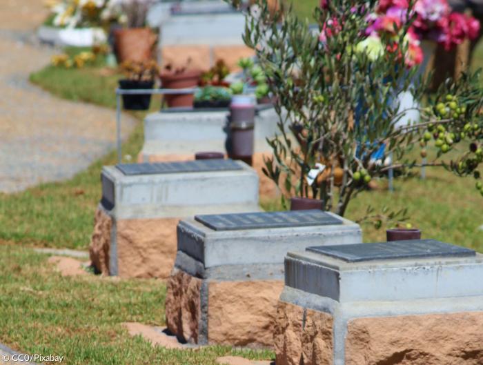 Urnengrab Friedhof