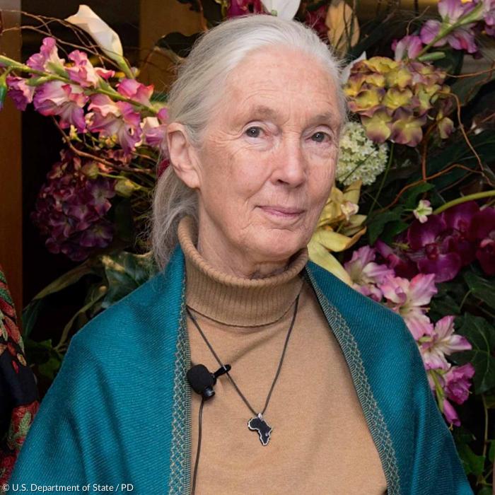 Umweltaktivistin Jane Goodall