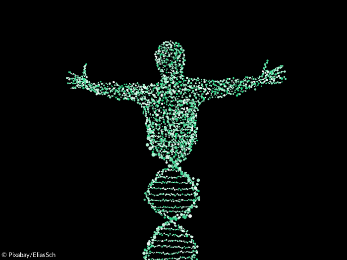 DNA Mensch Gene Gentechnik Erbgut