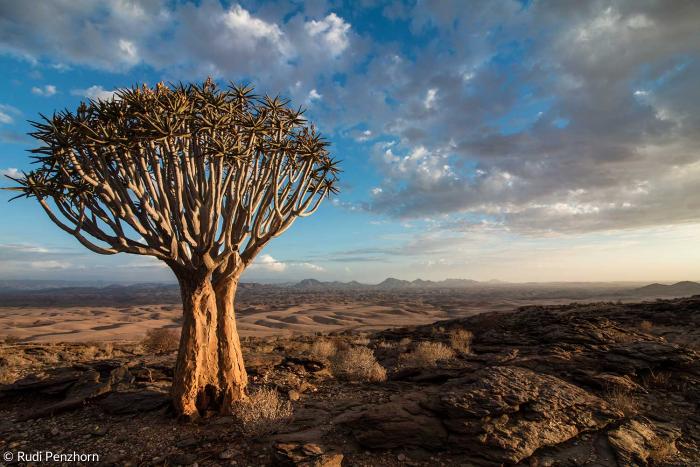 Namibia: Landschaft 