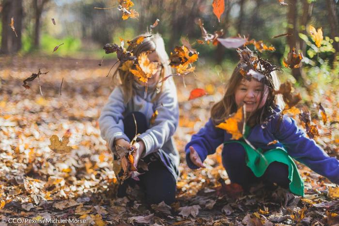 Kinder Kindergarten Spielen Herbst Laub