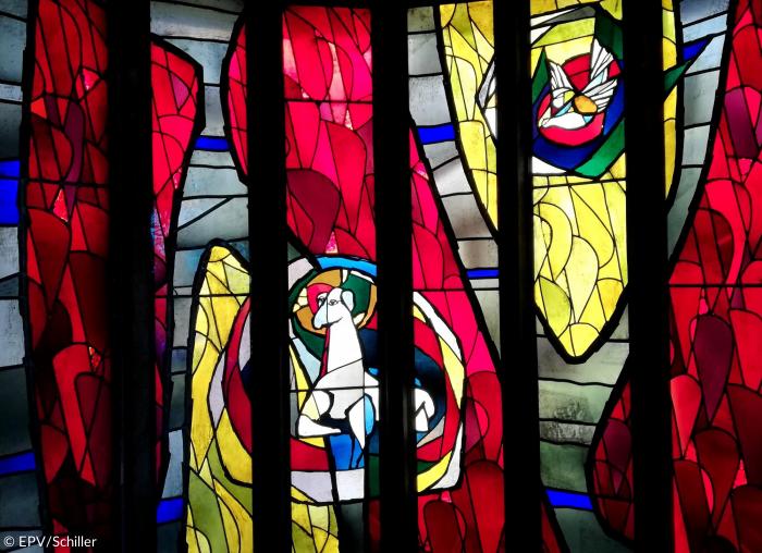 Glasfenster Opferlamm und Friedenstaube, St. Johannis Würzburg