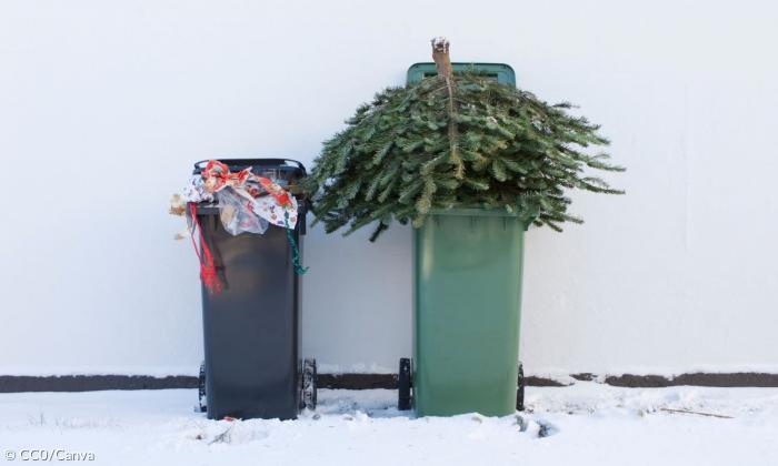 Zwei Mülltonnen nebeneinander im Schnee. In einer ist Restmüll, in der Biomülltonne ist ein ganzer Weihnachtsbaum.