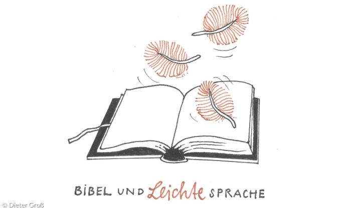 Federn als Symbol für die Bibel in Leichter Sprache
