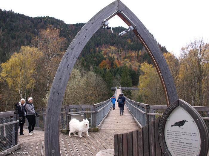 Walderlebniszentrum Füssen-Ziegelwies