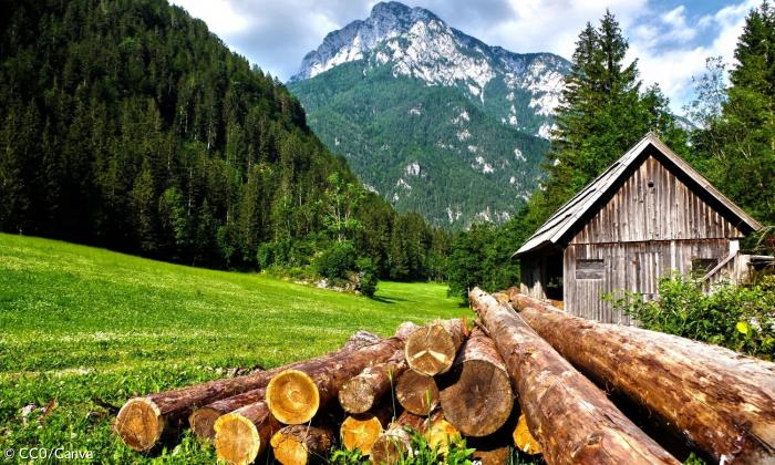 Eine Hütte mit Baumstämmen, dahinter die Berge