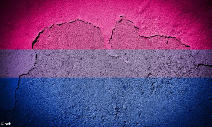 Die bisexuellen Farben auf einer Wand.