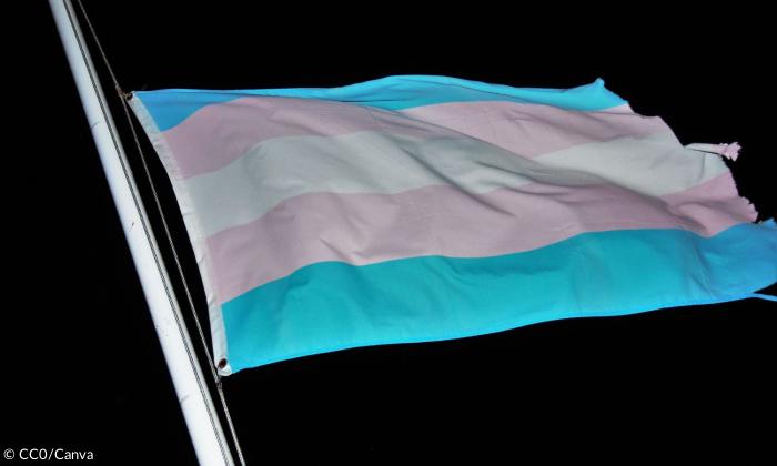 Die Transgender-Flagge