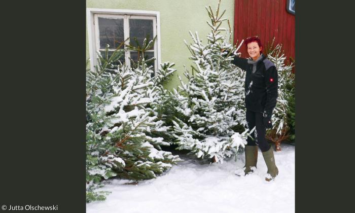 Eine Frau mit grünen Gummistiefeln und schwarzer Hose und Jacke greift einen schneebedeckten Weihnachtsbaum. Er lehnt neben anderen Christbäumen an einer hellgrünen Hauswand. Links ist ein Fenster.