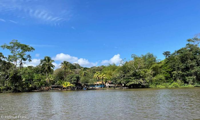 Hinterland von Costa Rica, bedeckt mit tropischem Regenwald