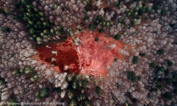 Ein ausgetrockneter Wald in dem ein Brand stattgefunden hat von oben.