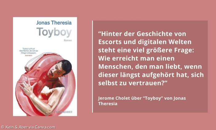 Buchcover von "Toyboy" plus Zitat aus dem Artikel