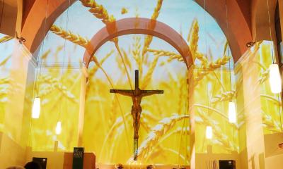 Neumarkt: Dienstenthebung eines Pfarrers sorgt für kritische Fragen an die Landeskirche
