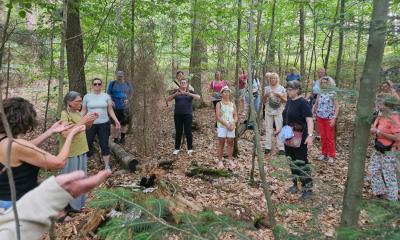 Wild Church im Wald: Wo Menschen Gott in der Natur suchen