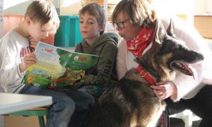 Die Schüler Nick (li.) und Felix lesen dem Schäferhund Endy vor. Friederike Mehrhof-Volbert von den Johannitern hört zu.