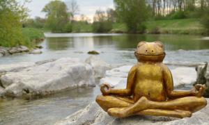 Meditierende Froschskulptur in einem Bachbett