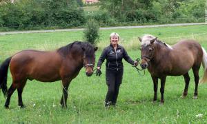 Pfarrerin und Pferdezüchterin Susanne Memminger mit zwei Islandpferden aus ihrem Gestüt.