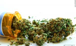 Medizinisches Cannabis 