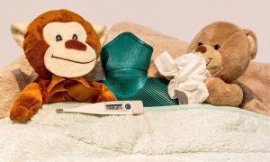 Damit nur die Kuscheltiere ins Krankenbett müssen, gilt es einige Tipps gegen Erkältung und Grippe zu beherzigen.