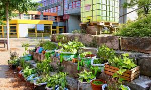 Urban-Gardening-Projekt am Schwabacher Wolfram-von-Eschenbach-Gymnasium