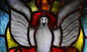 Heiliger Geist Taube Glasmalerei