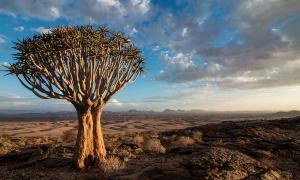 Namibia: Landschaft 