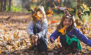 Kinder Kindergarten Spielen Herbst Laub