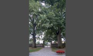 Maenner von Brettheim Friedhof