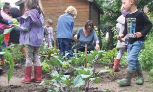 Im Kindergarten St. Markus in Weiden pflanzen, ackern und jäten die Kinder auf eigenem Acker. 