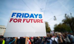 Ein Fridays-for-Future-Plakat bei einem Klimastreik