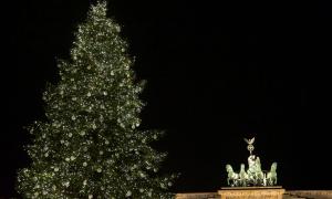 Ein Weihnachtsbaum vor dem Brandenburger Tor