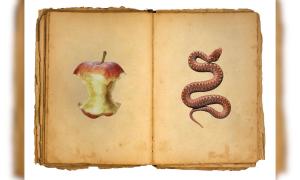 Ein altes Buch zeigt links einen Apfel, rechts eine Schlange