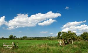 Landschaft mit Wolken und Wiese