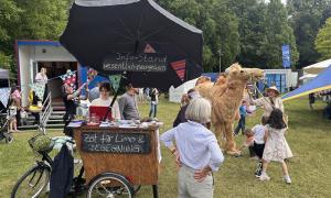 Ein Kamel und ein Wagen, viele Menschen auf einer Wiese